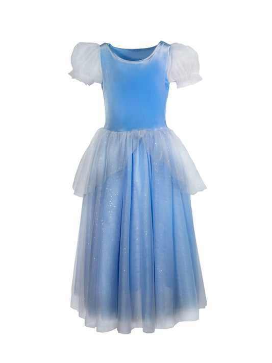 Princess Cinderella Blue  Dress