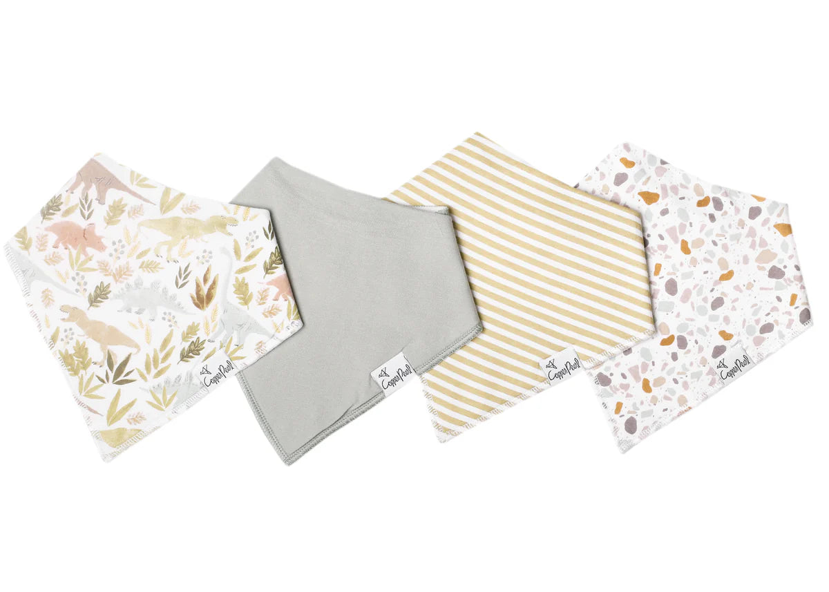 Rex Baby Bandana Bib Set (4-pack)