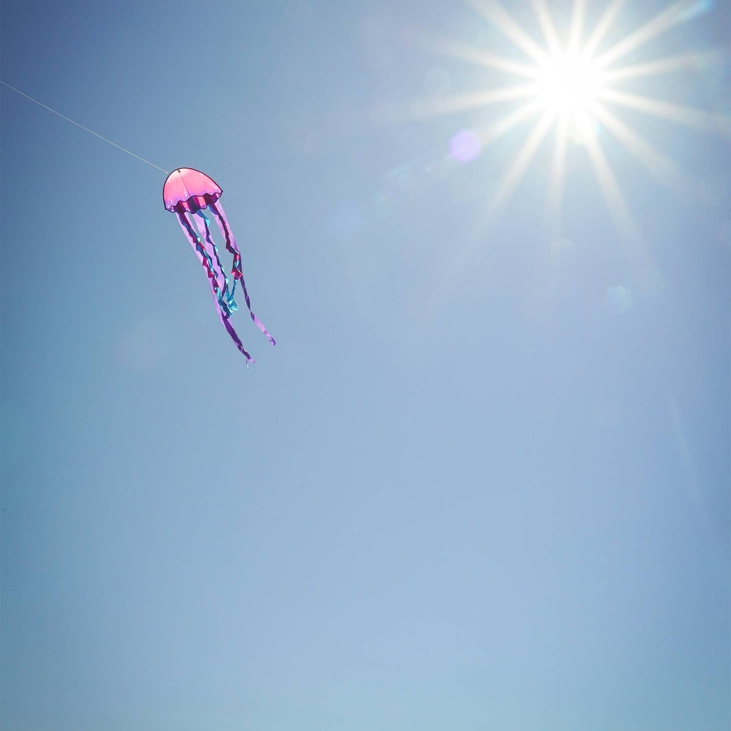 22" Jellyfish Dancing Dragon Kite