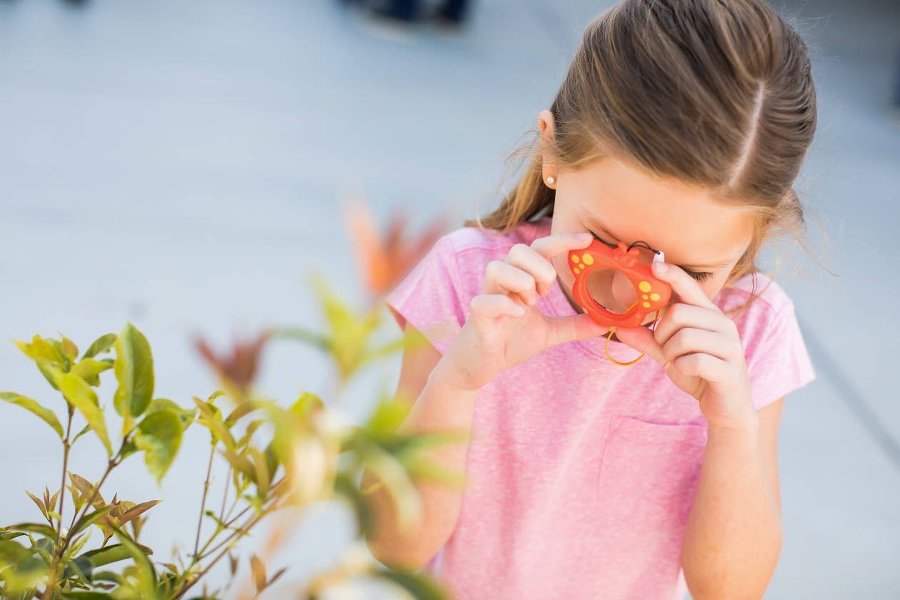 Butterfly Magnifier