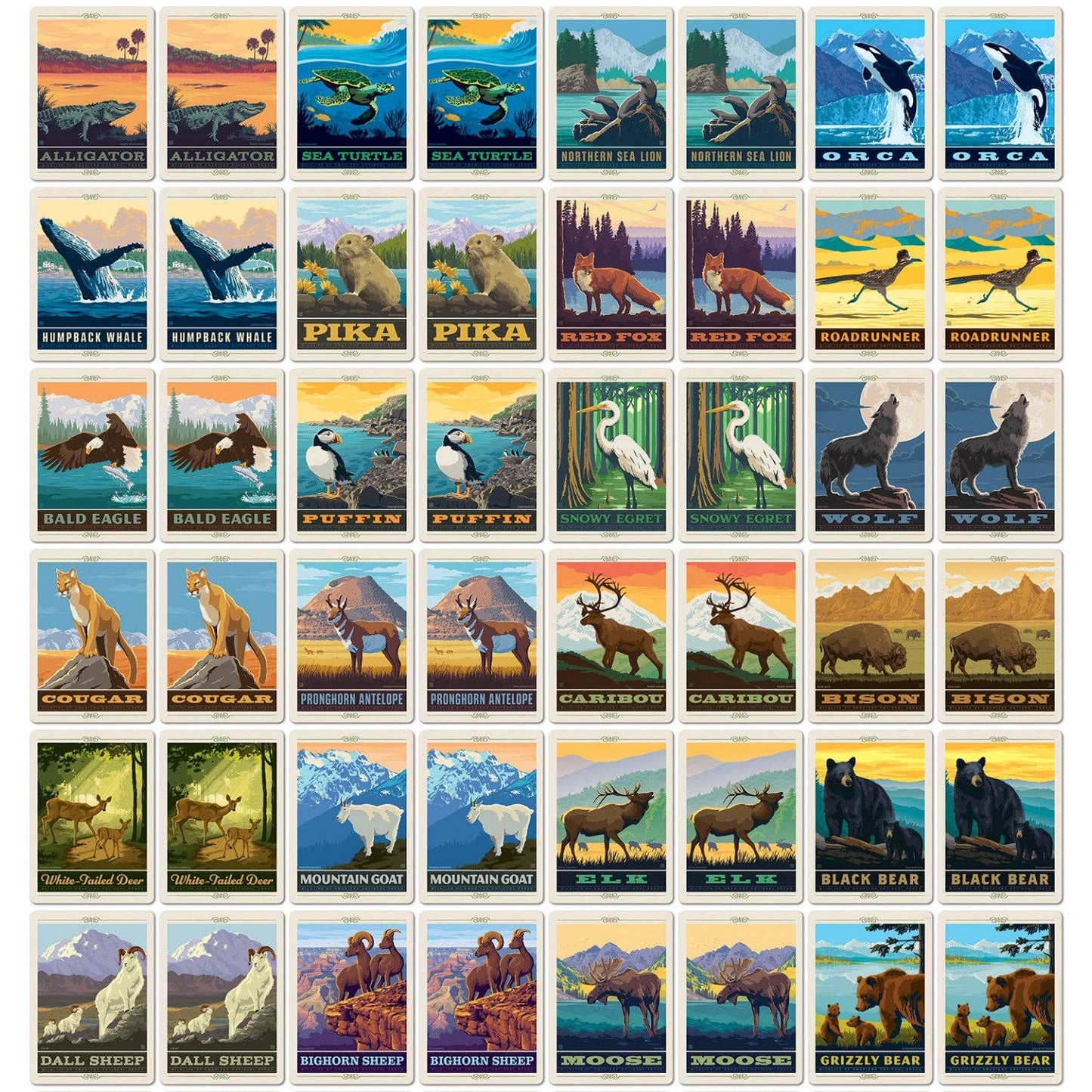 National Parks Wildlife Memory Game