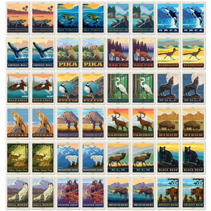 National Parks Wildlife Memory Game