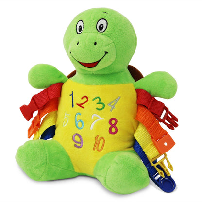 Bucky Turtle