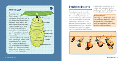 Butterflies for Kids