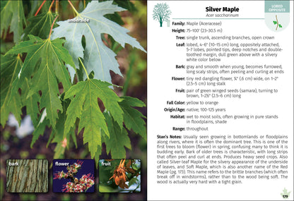 Trees of Indiana Field Guide 2e