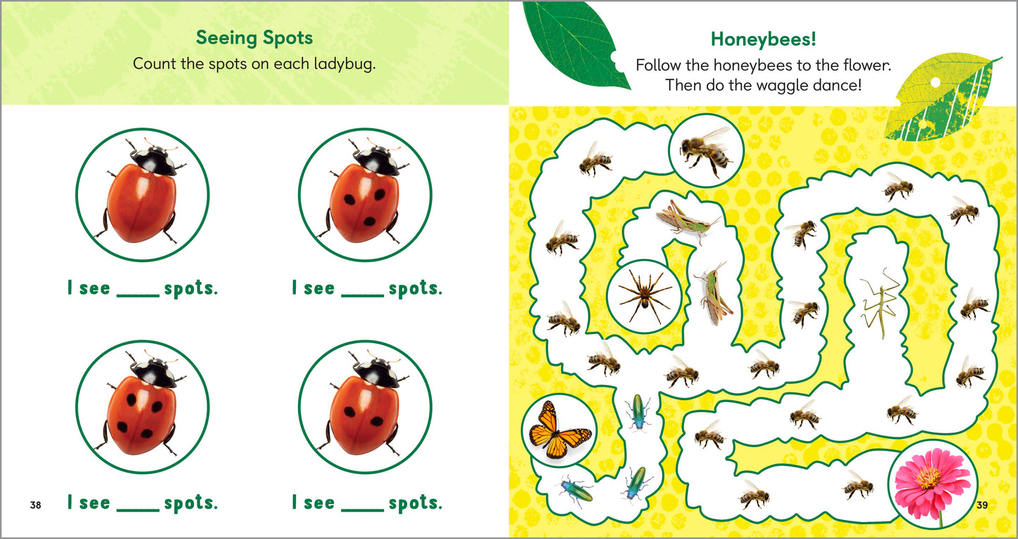 Backyard Bug Book for Kids