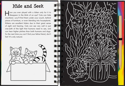 Scratch & Sketch Kittens