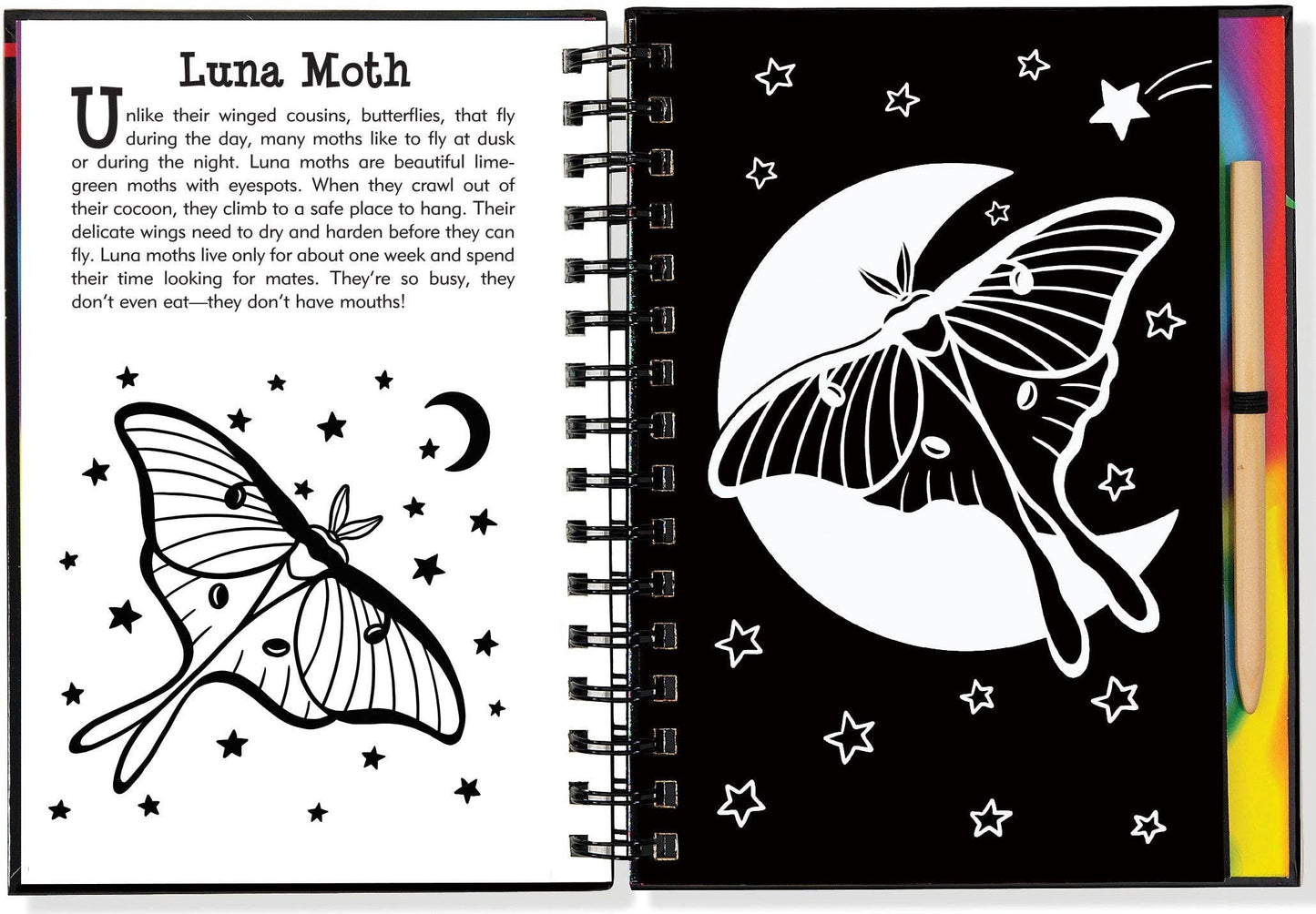 Scratch & Sketch™ Butterflies & Friends