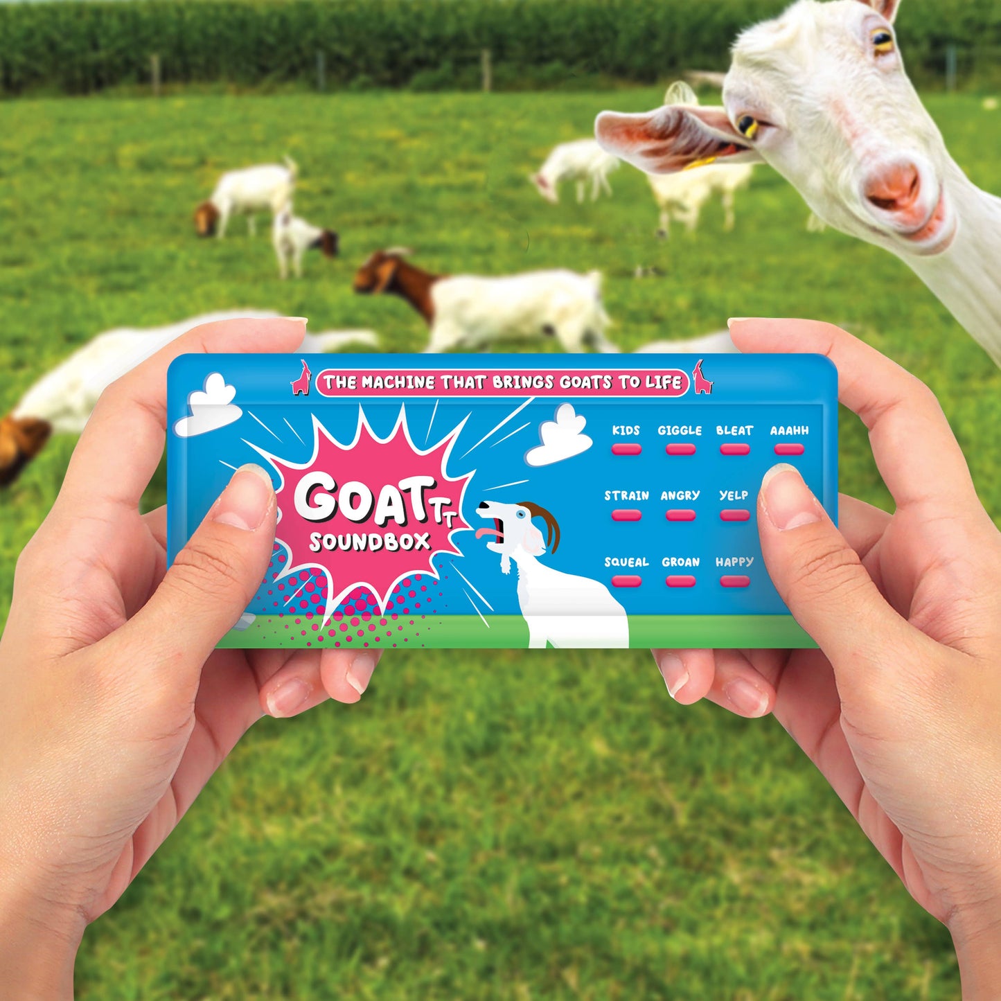 Goat Soundbox