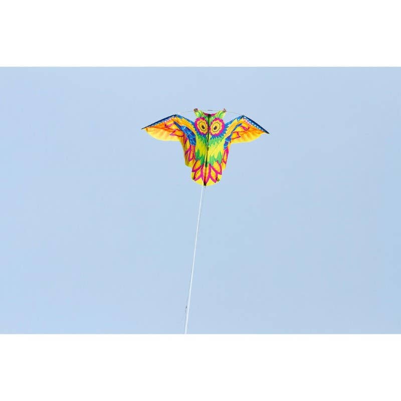 Ecoline Flashy Owl Kite