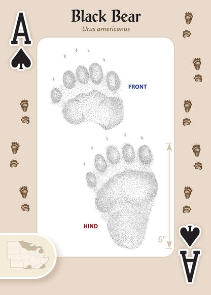 Animal Tracks of Midwest Playing Cards