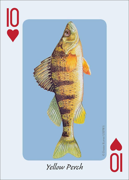 Fish of the Midwest Playing Cards