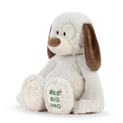 Best Big Brother Plush Dog 16"
