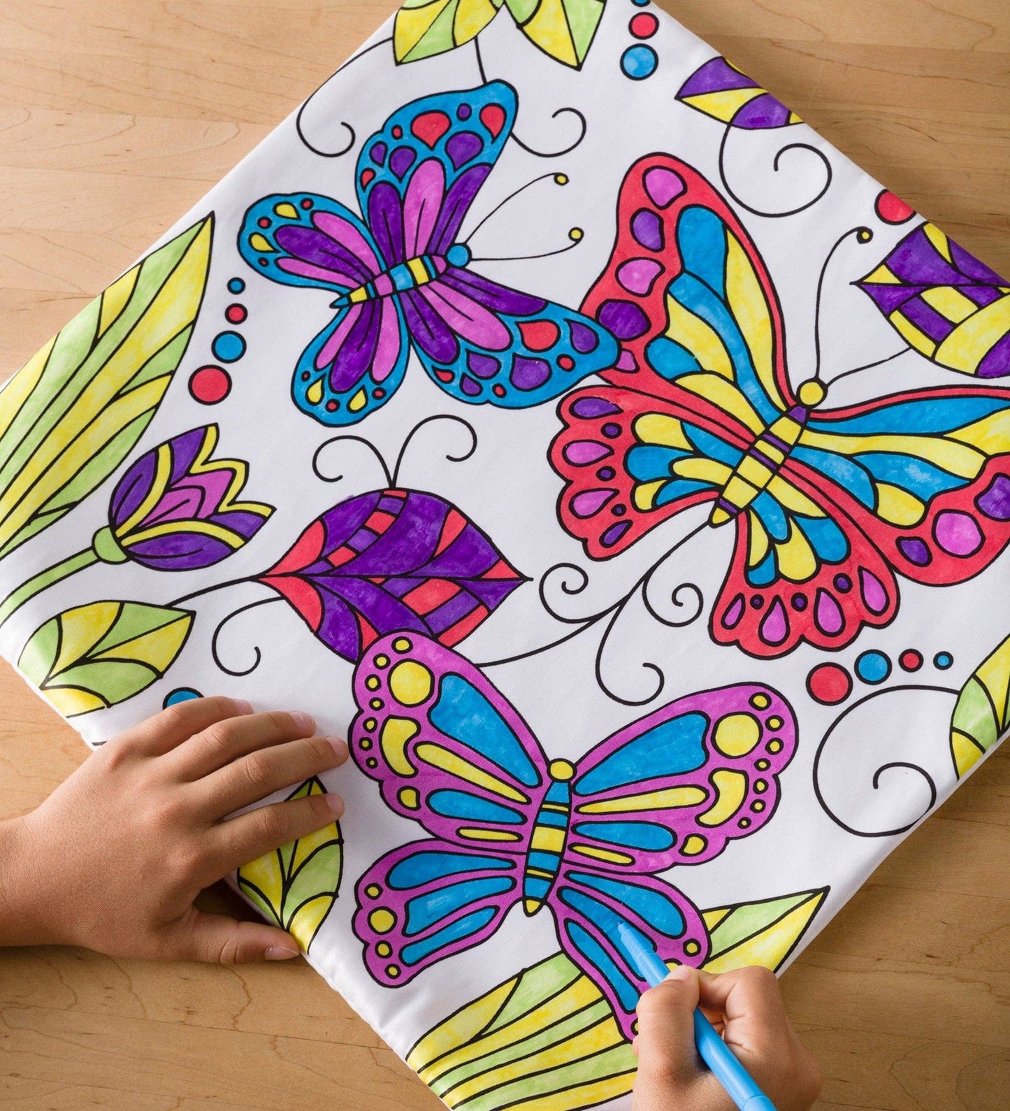 Color-Your-Own Pillow Set: Butterfly