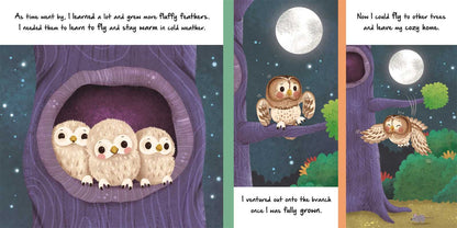 Nature Stories: Little Owl-Discover an Amazing Story