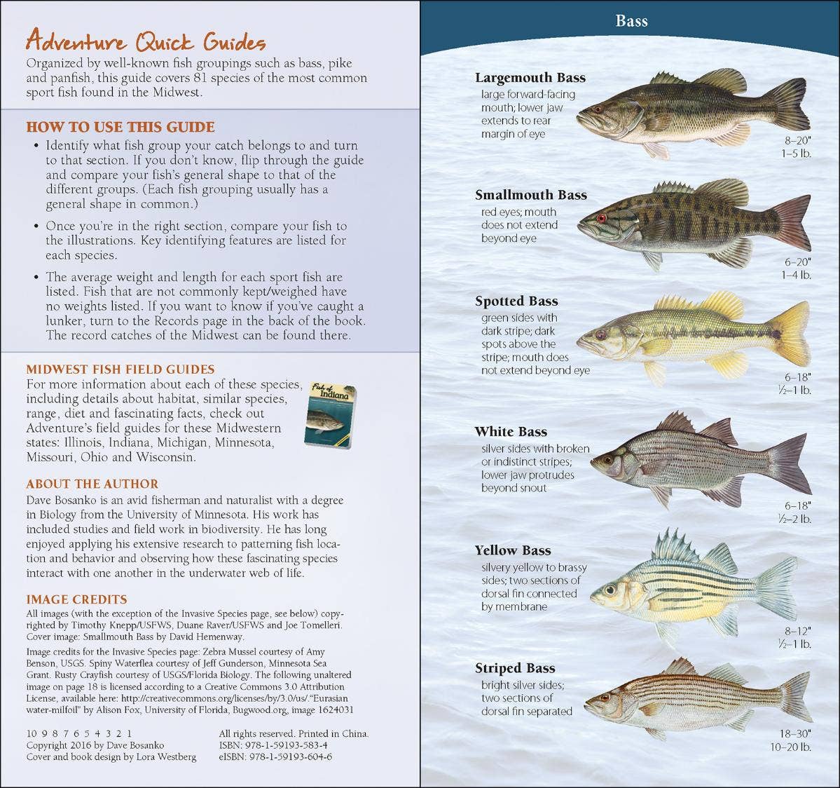 Fish of Midwest Quick Guide