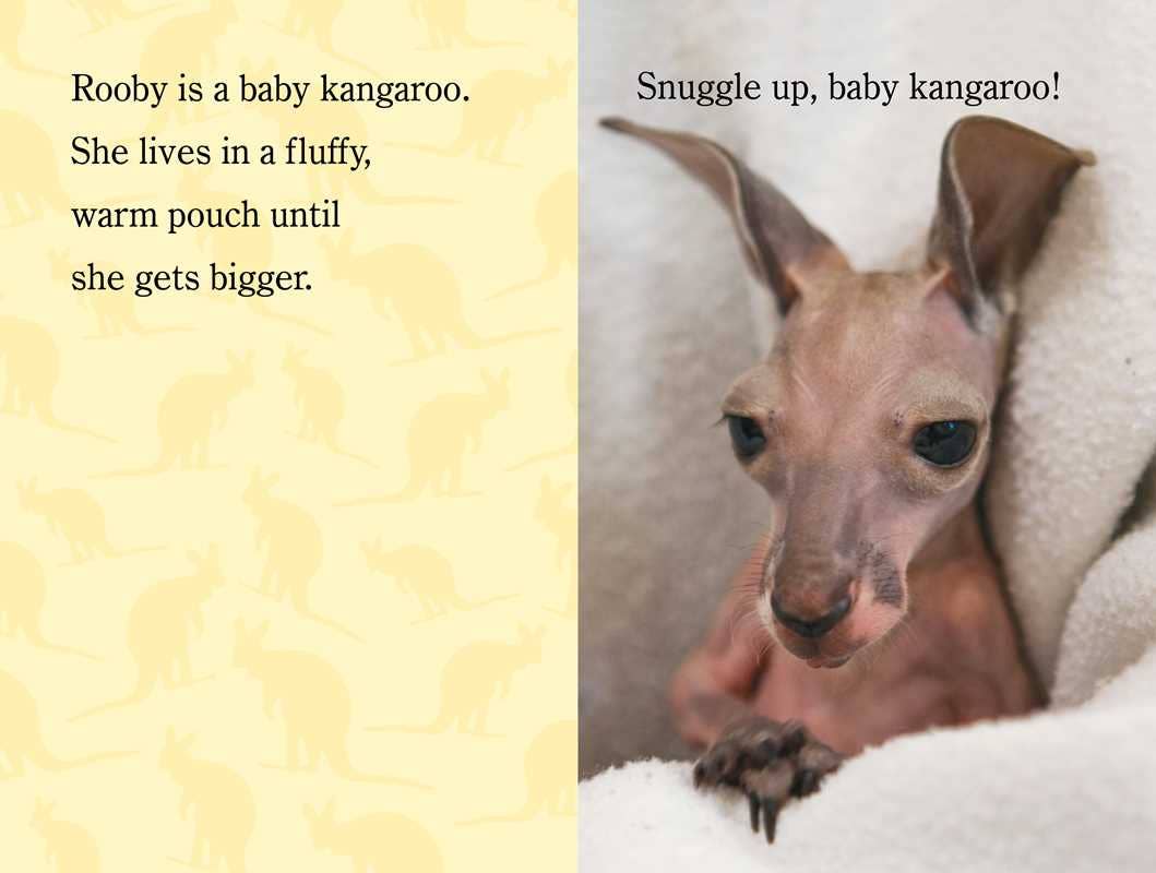 Snuggle Up, ZooBorns! by Andrew Bleiman