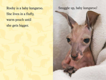 Snuggle Up, ZooBorns! by Andrew Bleiman
