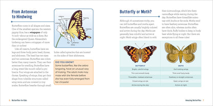 Butterflies for Kids