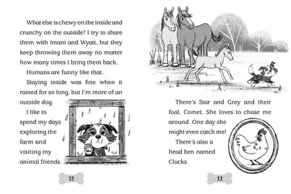 Good Dog 4 Books in 1! by Cam Higgins