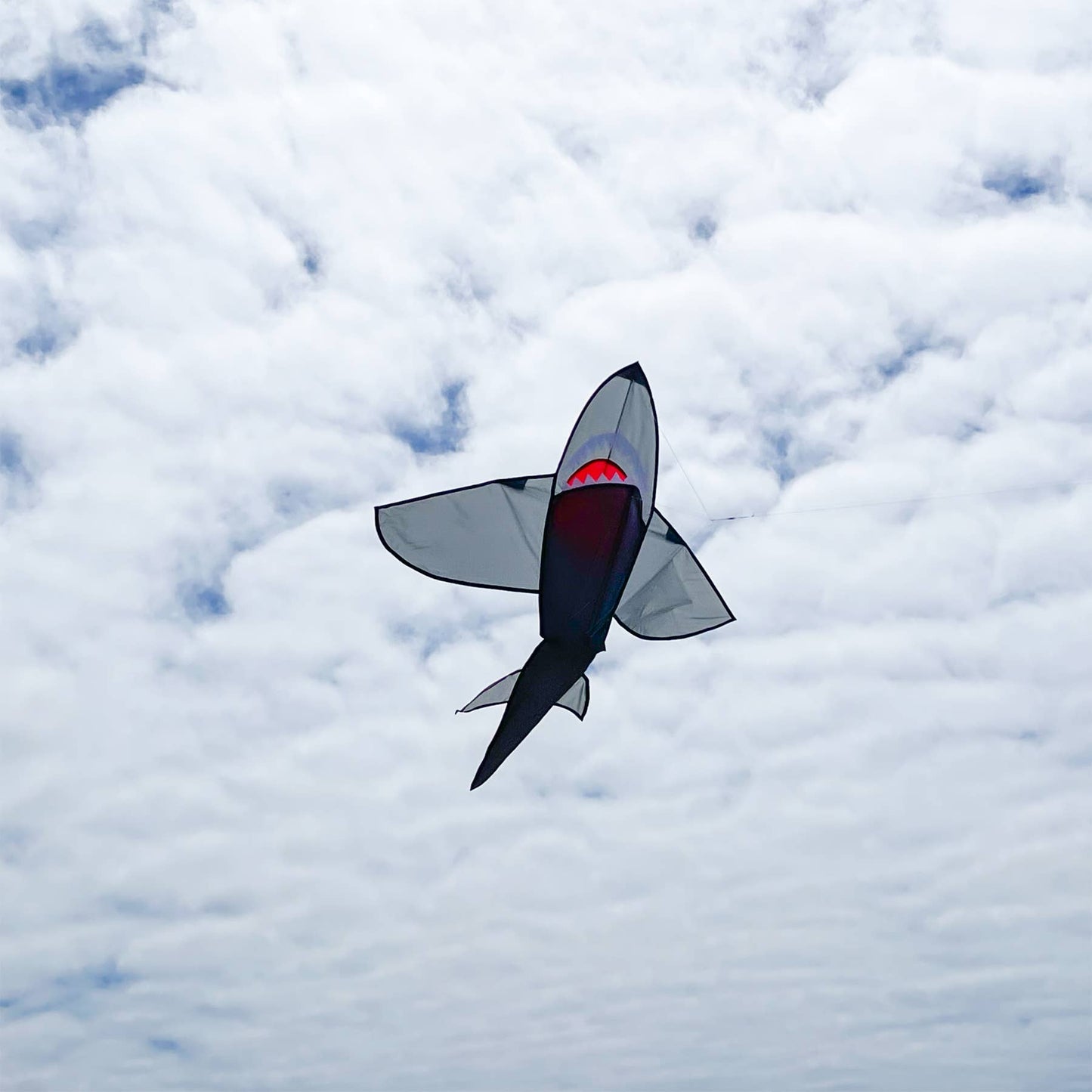 5' 3D Grey Shark Kite