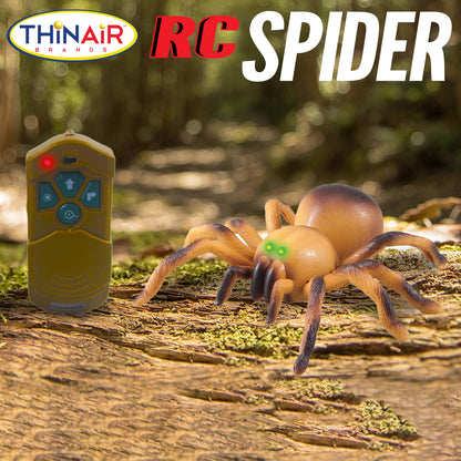 Remote Control Spider