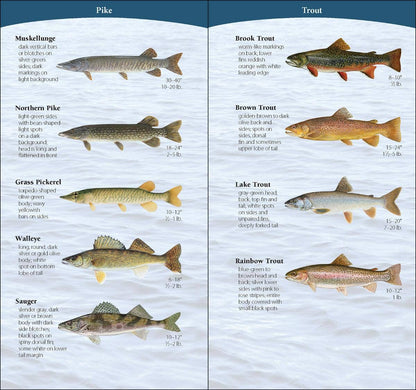 Fish of Midwest Quick Guide