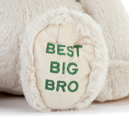 Best Big Brother Plush Dog 16"
