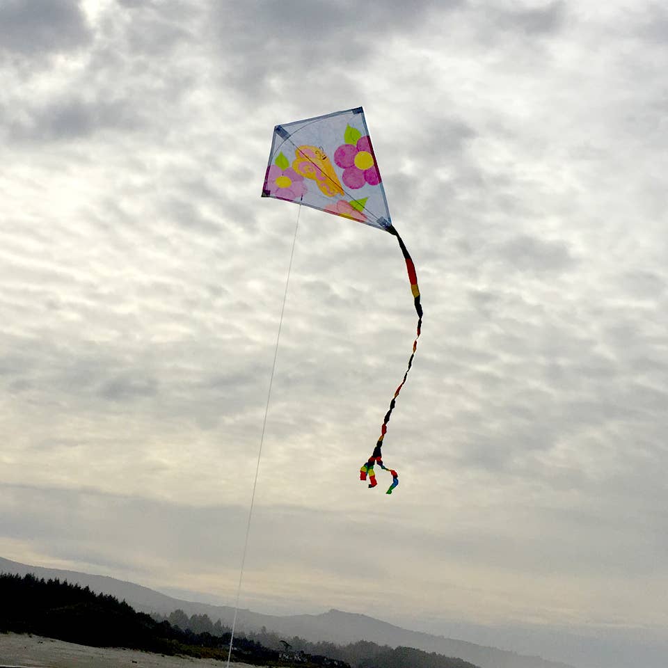 Diamond Coloring Kite