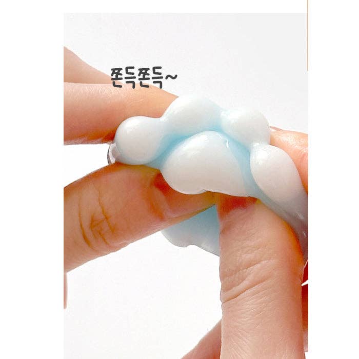 Kitty Paw Pop Squishy 5 Colors Random Box