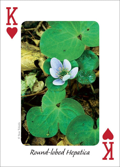 Wildflowers of Midwest Playing Cards