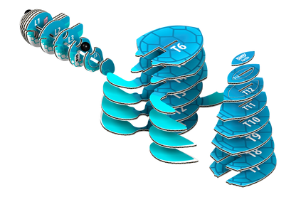 EUGY Turtle 3D Puzzle
