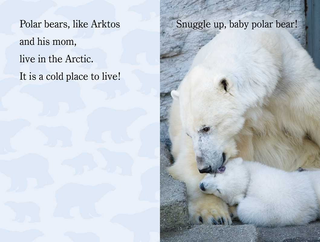 Snuggle Up, ZooBorns! by Andrew Bleiman