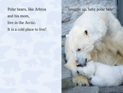Snuggle Up, ZooBorns! by Andrew Bleiman