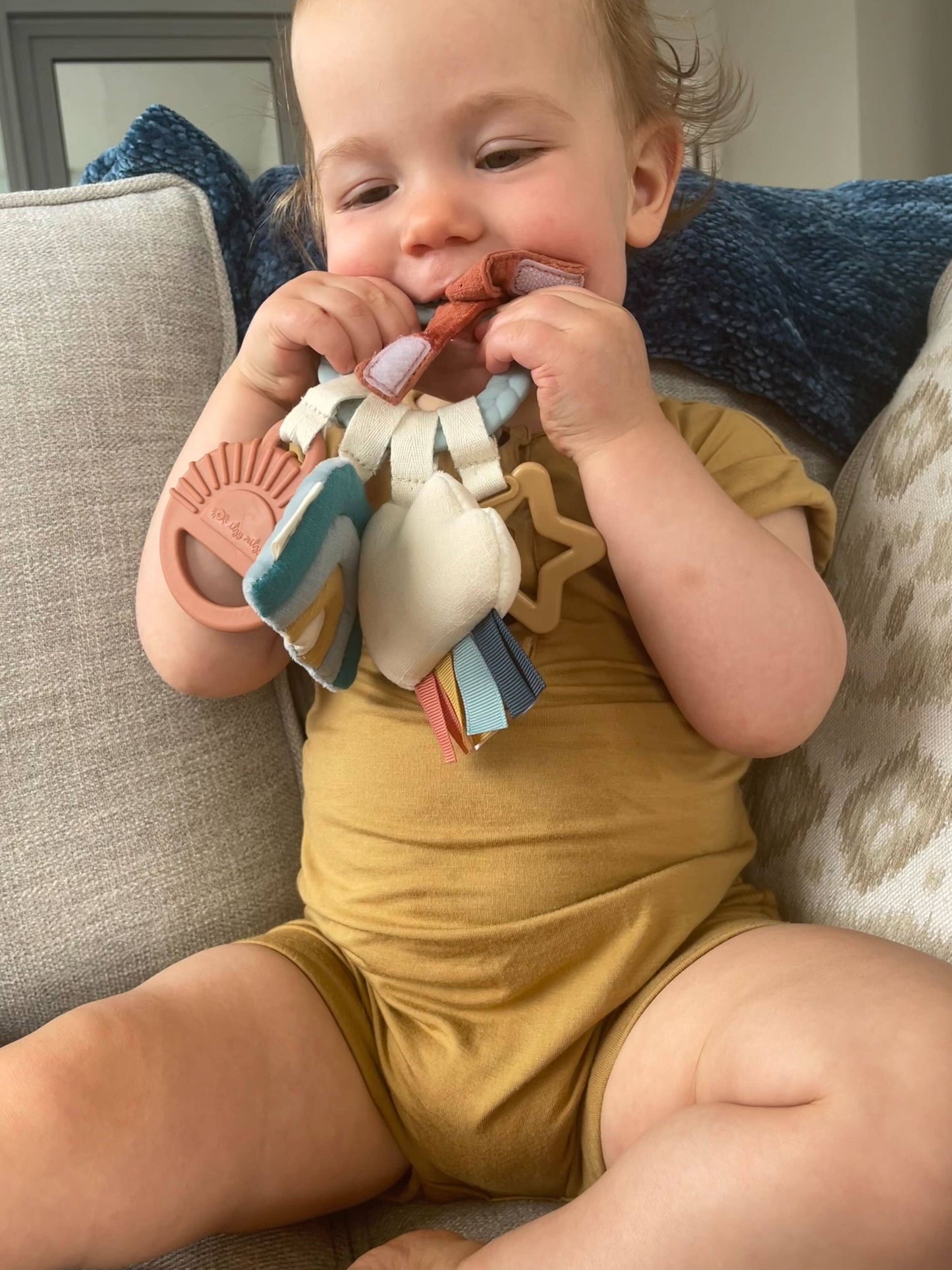 Bitzy Busy Ring™ Teething Activity Toy - Farm