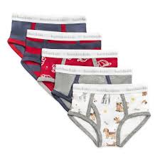 Burt's Bees Boys Puppy Party Underwear set