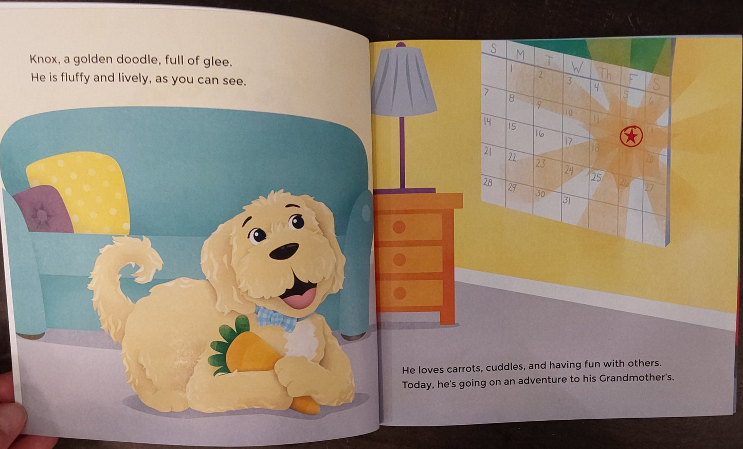 "Knox goes to Grandma's" Book by Kolby Goodrich