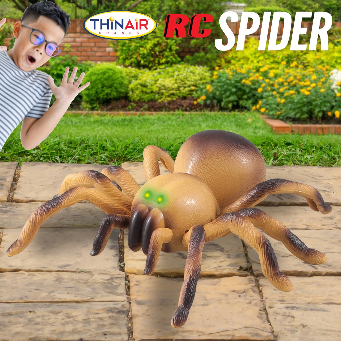 Remote Control Spider