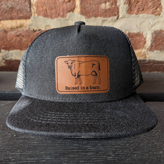 YOUTH "Raised in a barn" Cow, Black Mesh Trucker Hat